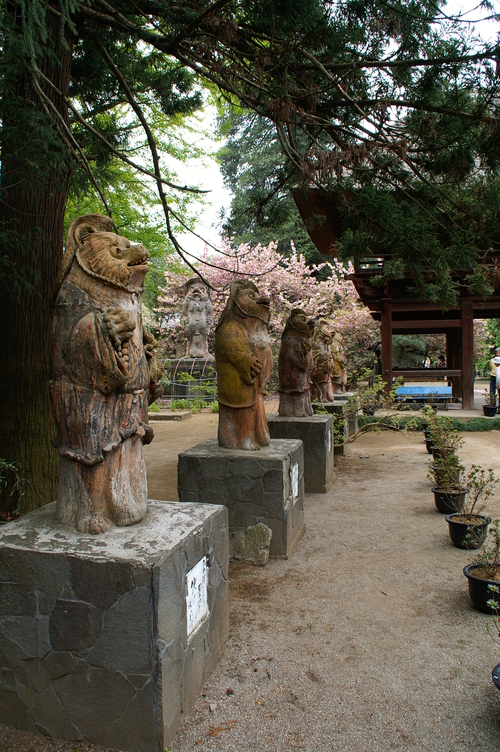 20060429_morinjiashikagatrip_003
